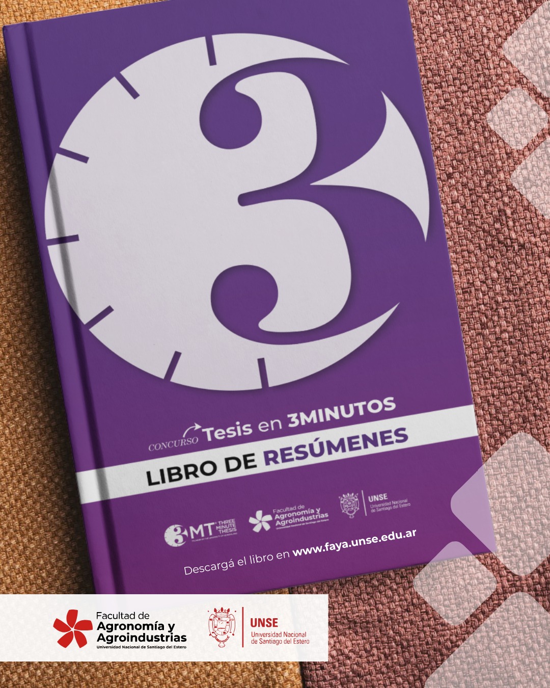 TESIS EN 3 MINUTOS – LIBRO DE RESÚMENES Y VIDEOS