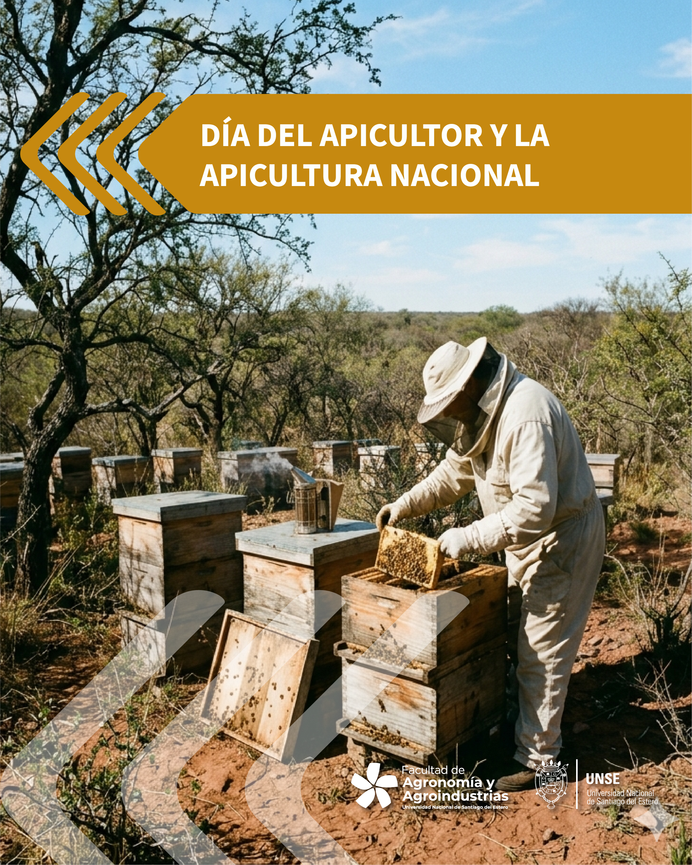21 DE JUNIO: DÍA DEL APICULTOR Y LA APICULTURA NACIONAL