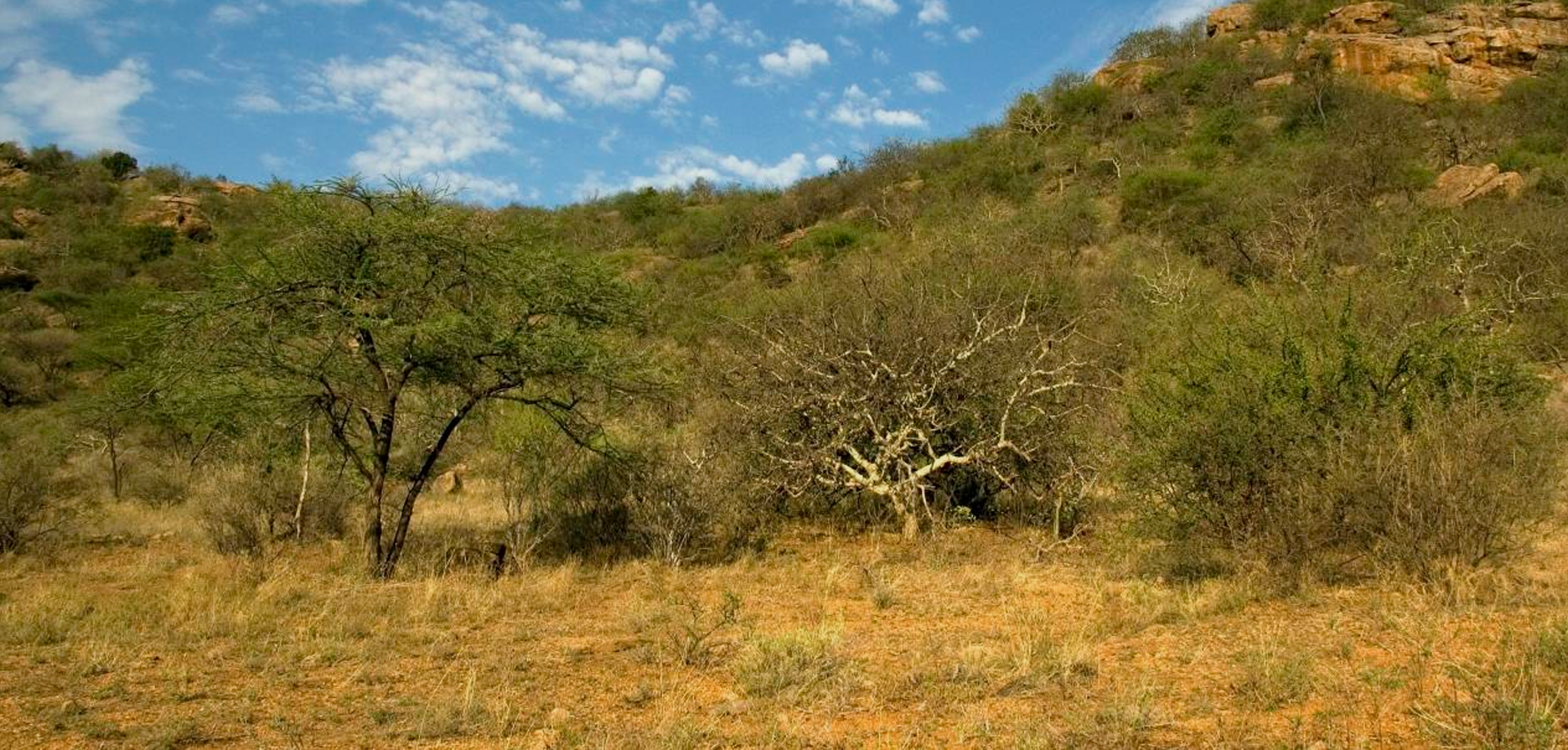 Maestría en Desarrollo de Zonas Áridas y Semiáridas